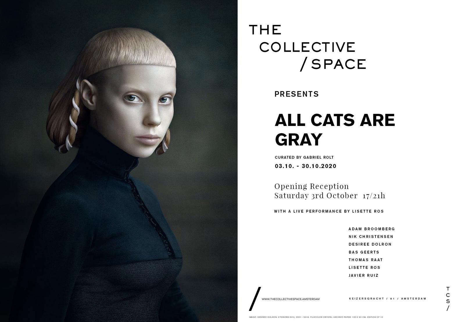 All Cats are Grey