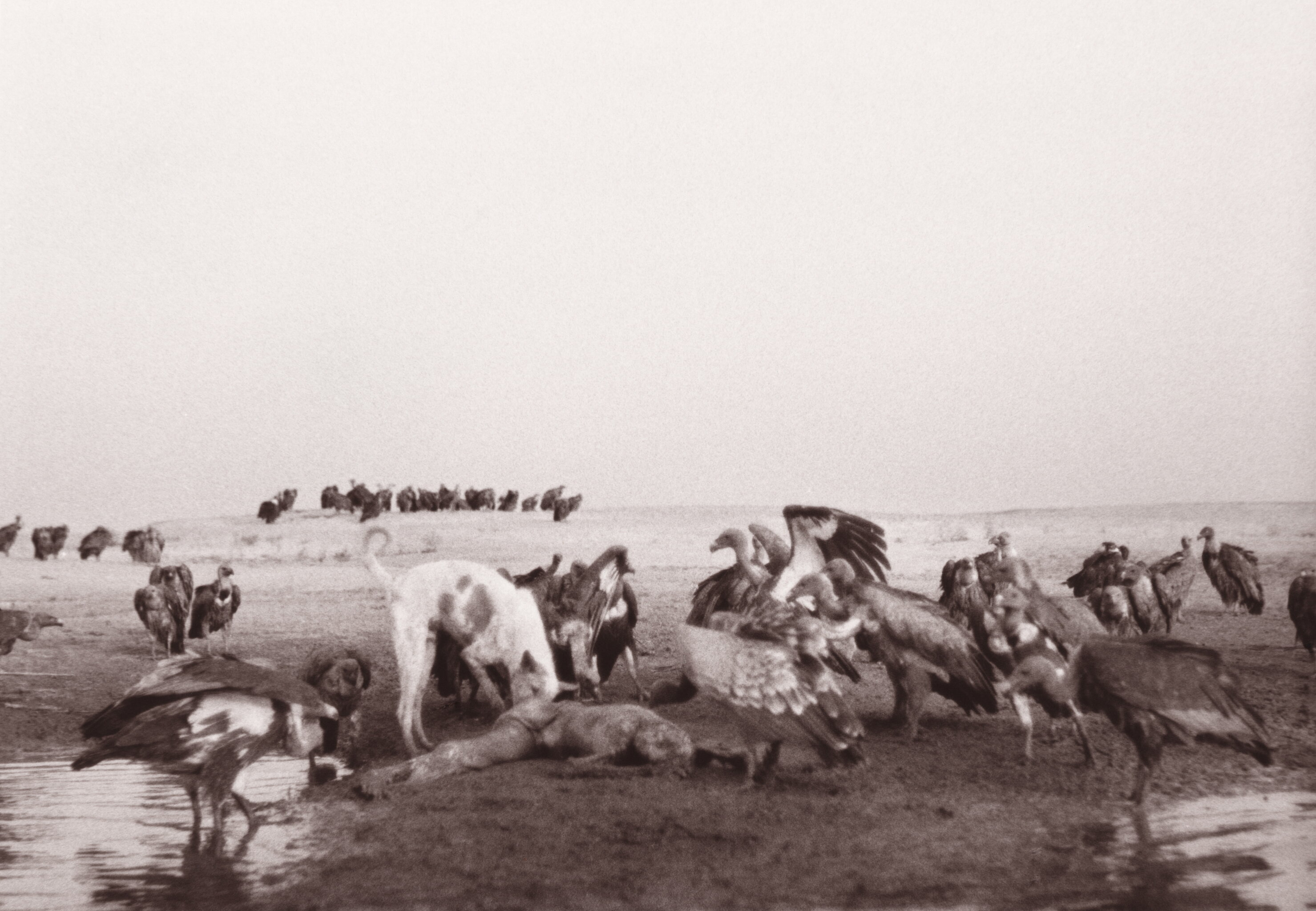 Ganges, India 1992