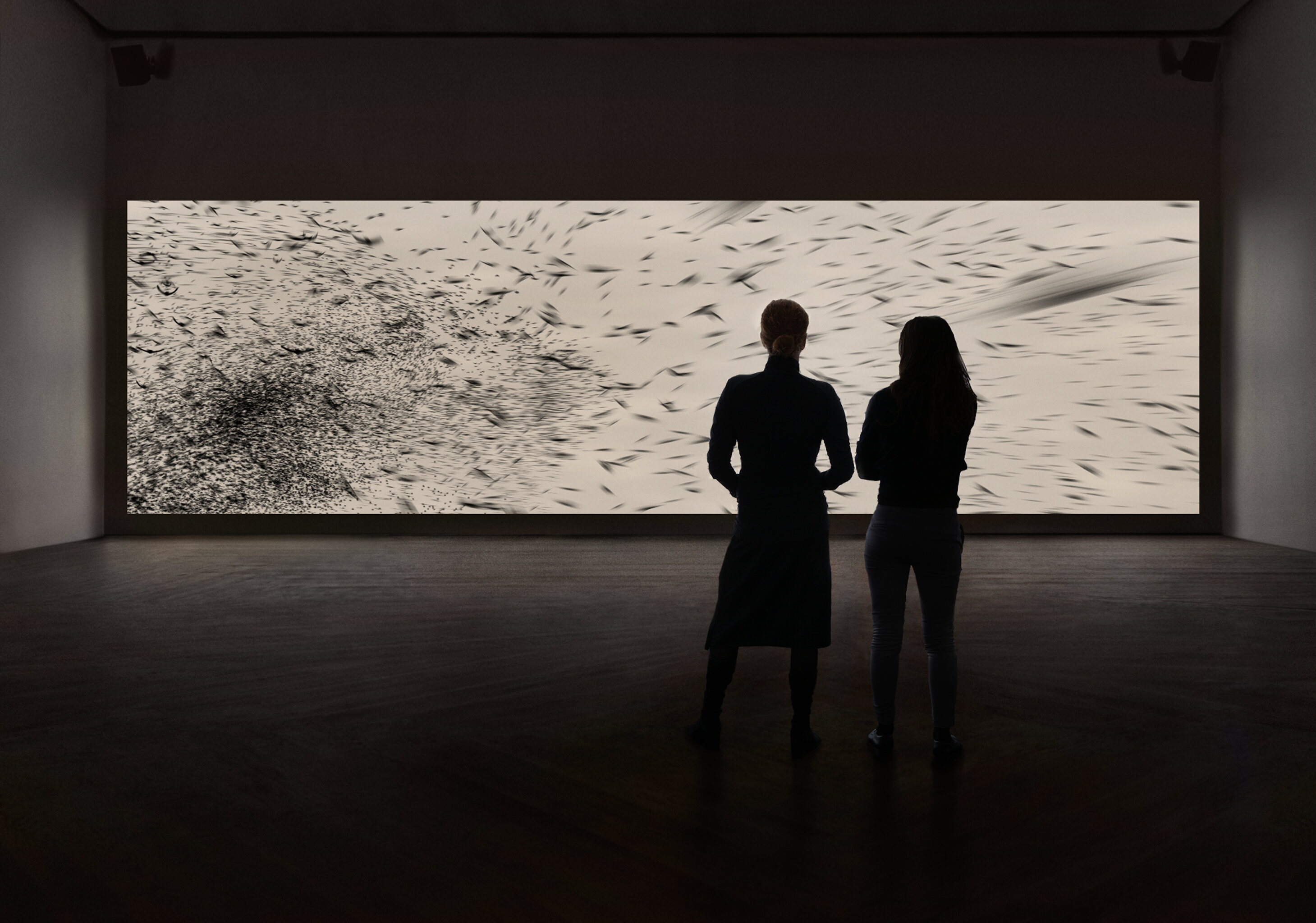 Complex systems 2017 installation view - HD 1920 x 1080, Video Loop, Sound, Duration: 02.36 (loop)