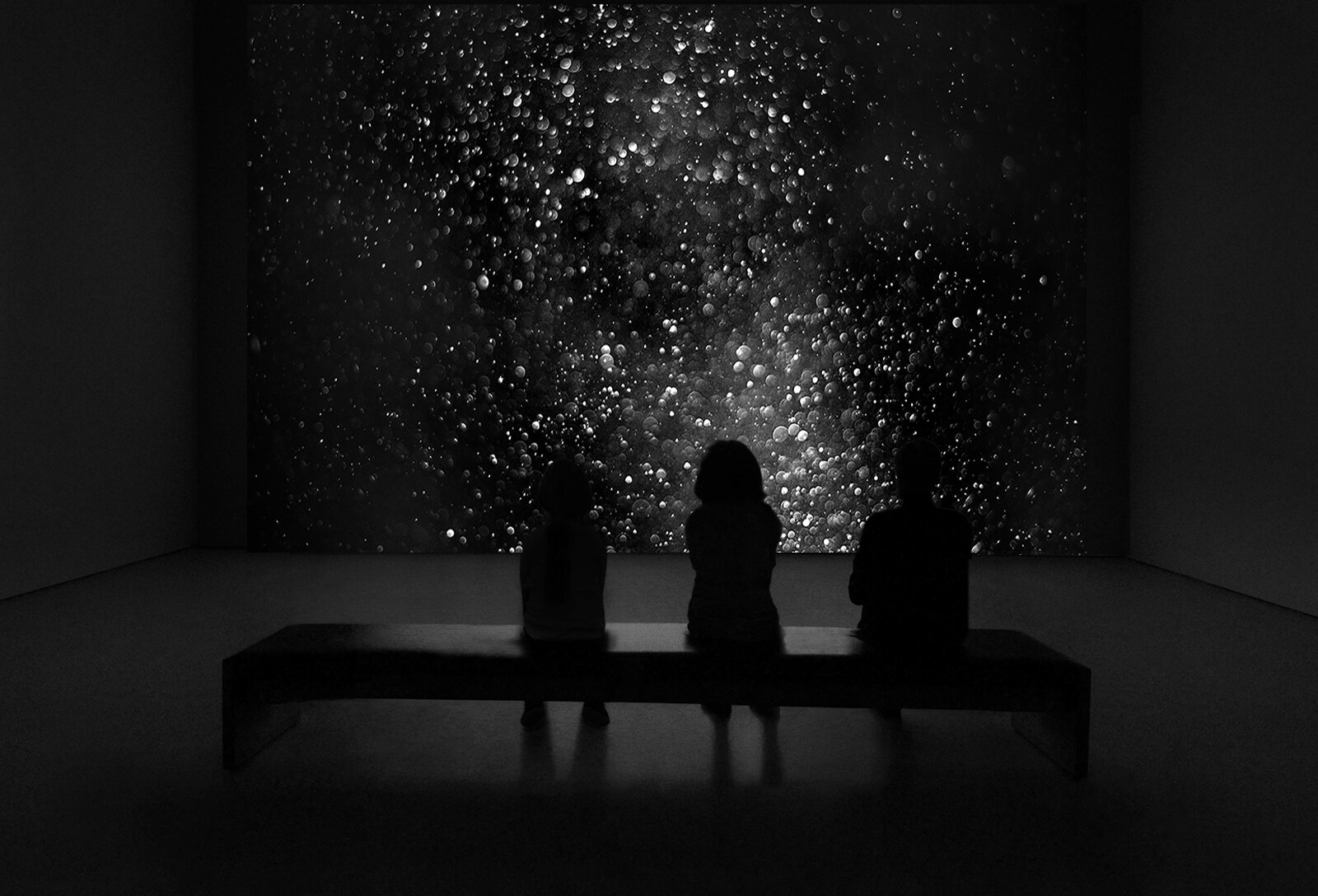 I will show you fear in a handful of dust II, 2016 | Installation view - HD 1920 x 1080, Video Loop, Sound, Duration: 09.49 (loop)