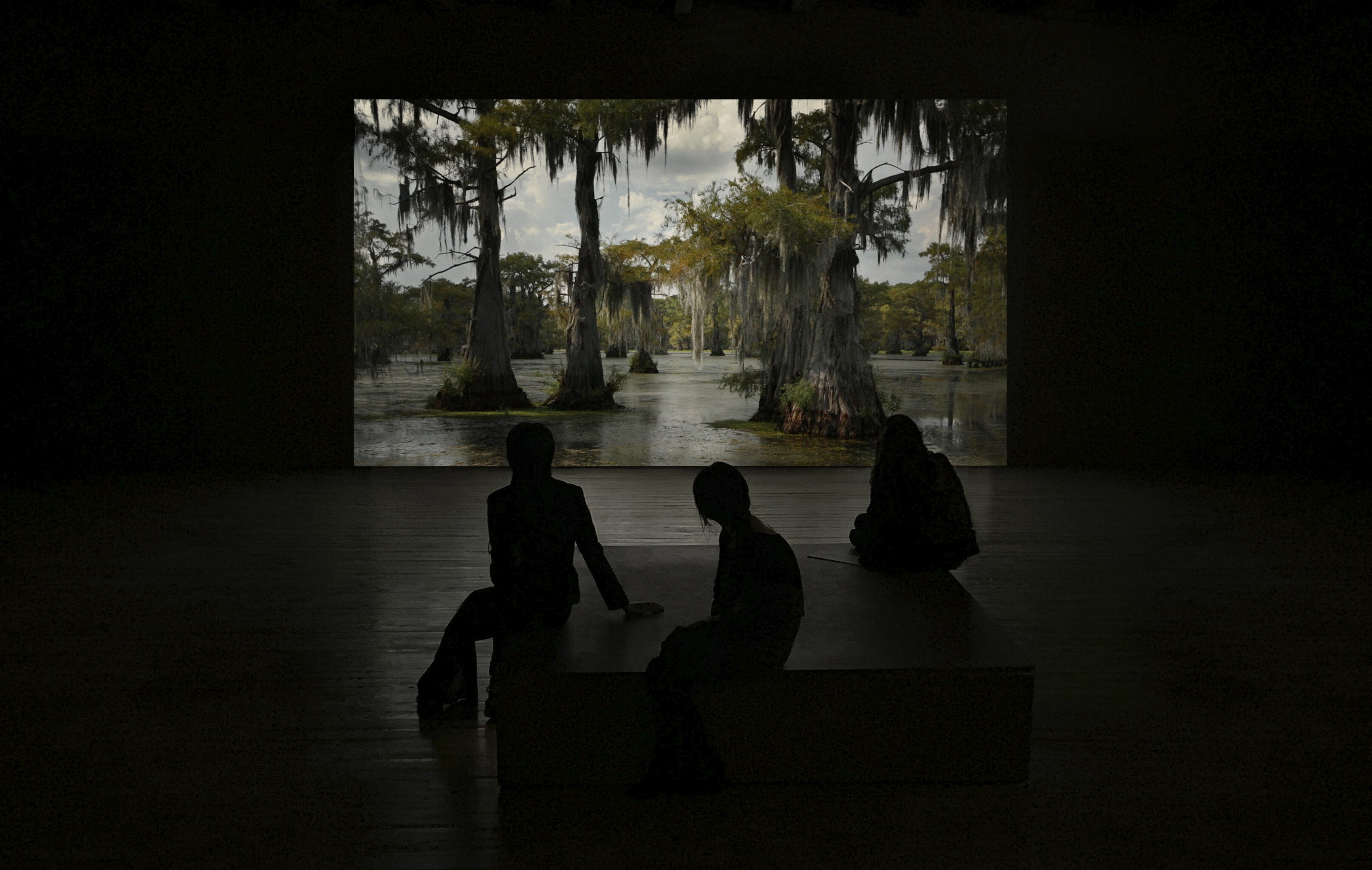 Uncertain TX, 2016 Installation view - HD 1920x1080, Video Loop, Sound, Duration: 03.57 (loop)