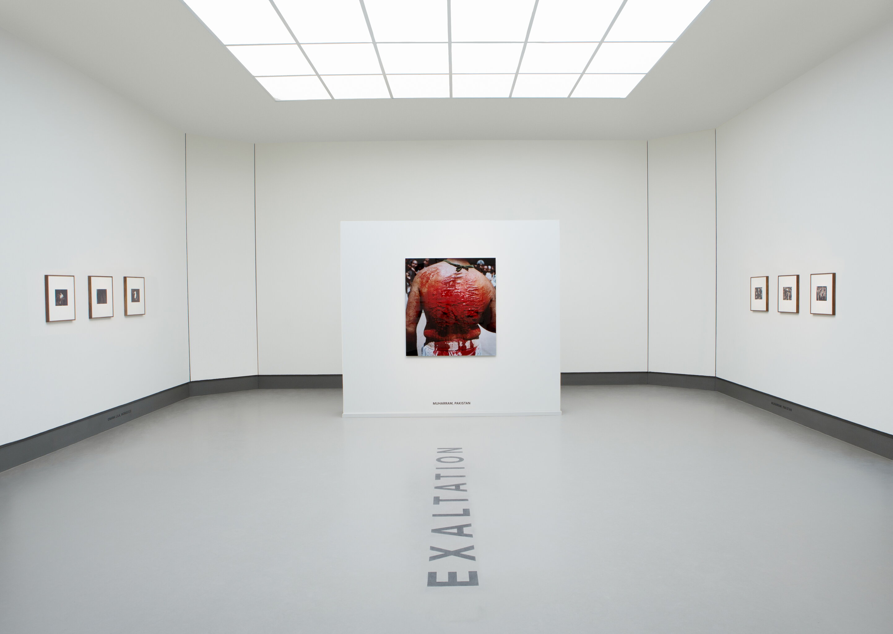 Desiree Dolron - installation view