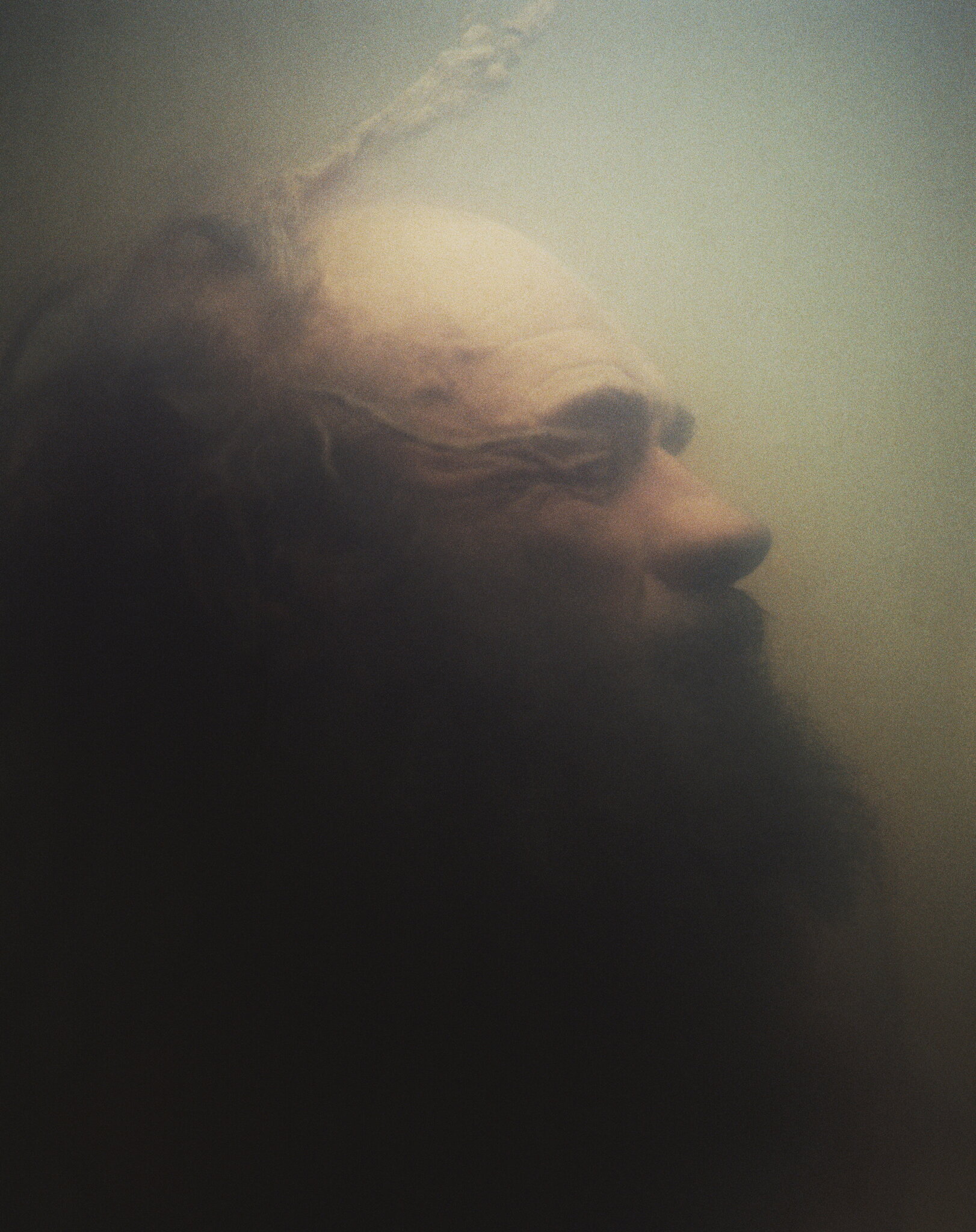 Study # 05 1996-1998