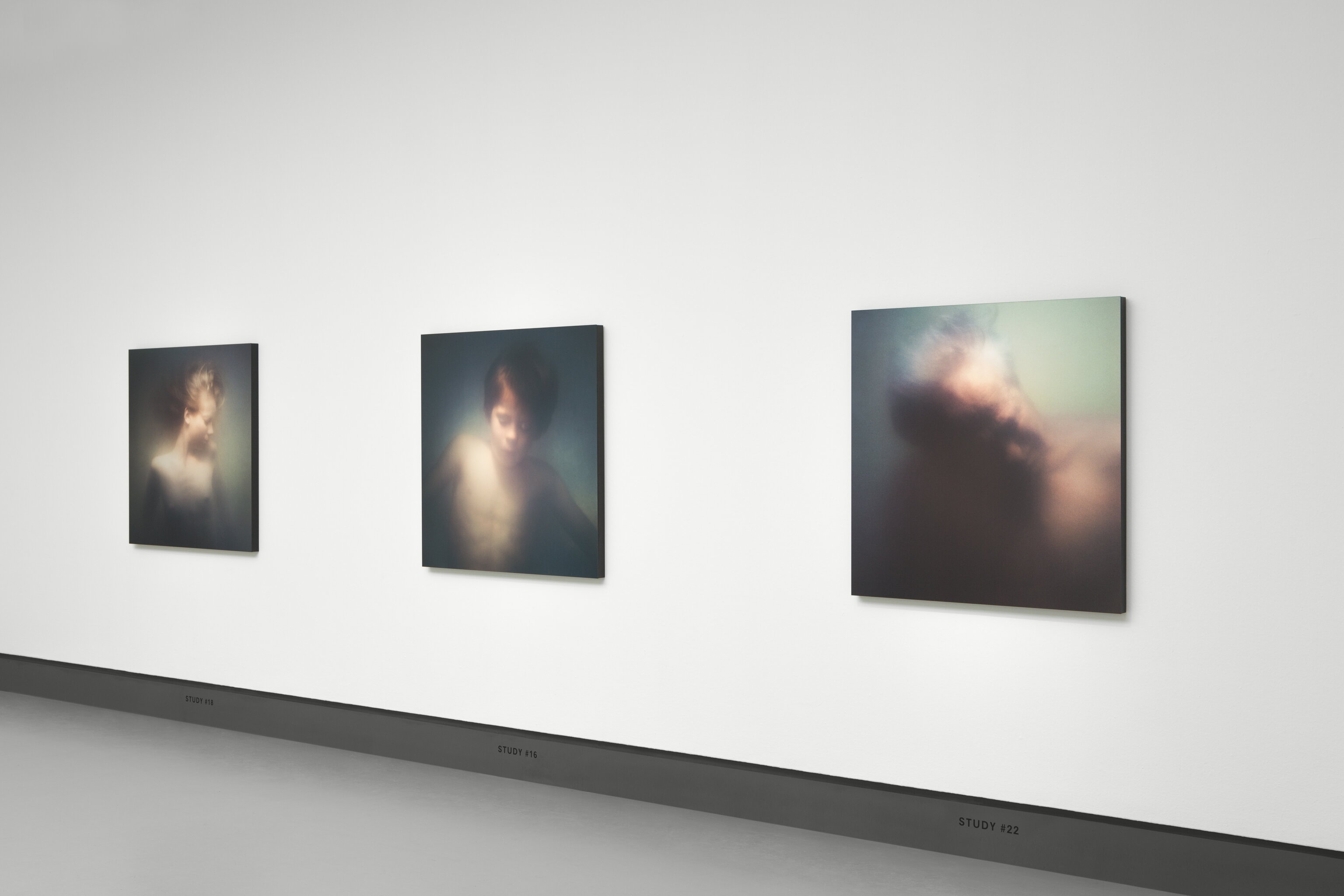 Gaze - installation view