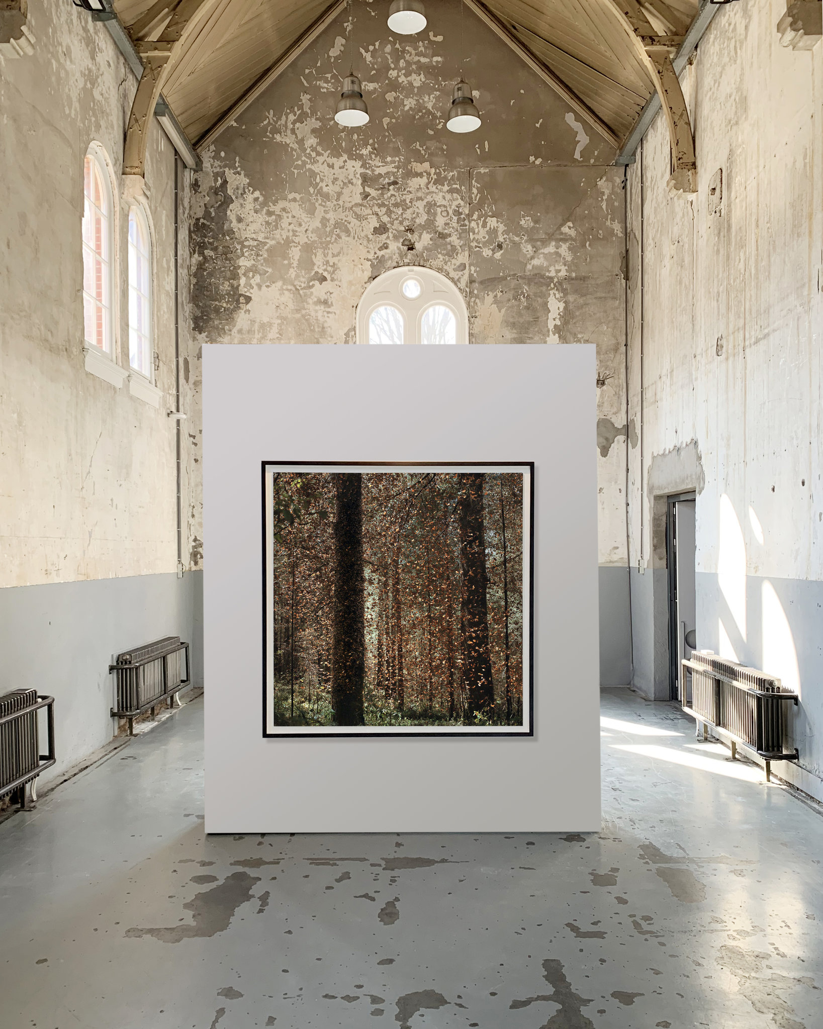 Monarch I 2018, installation view