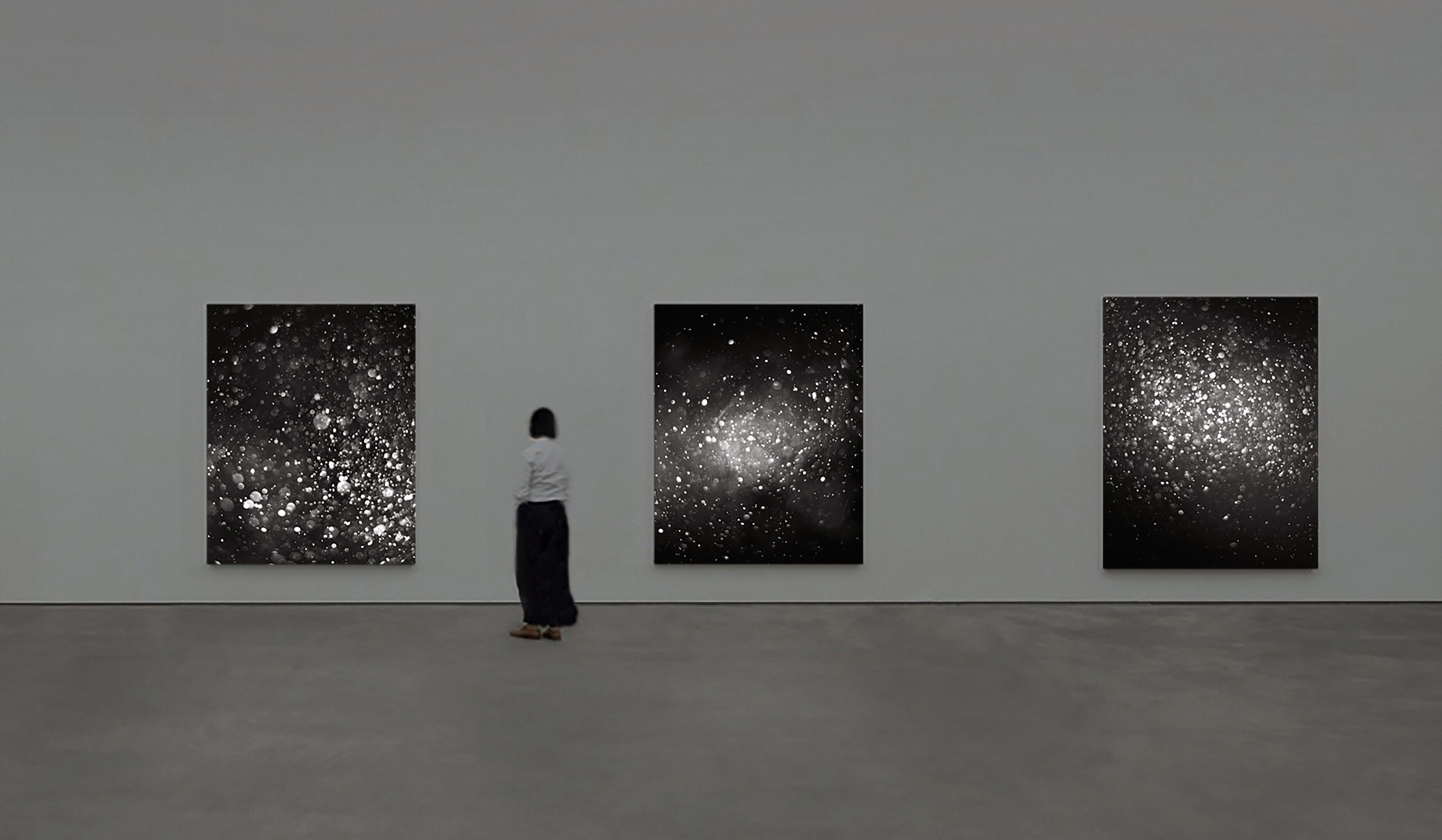 Pulvis, 2018 | installation view